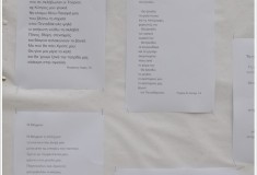 Image_new23